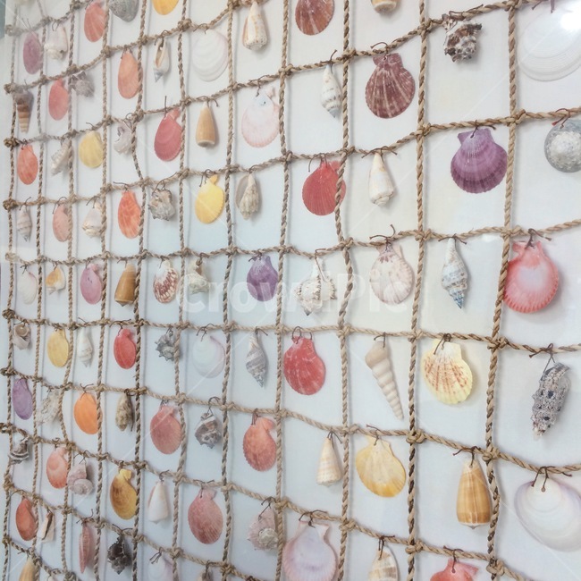 조개,장식,커튼,조개껍질,clam,shell,curtain,decoration,ornament