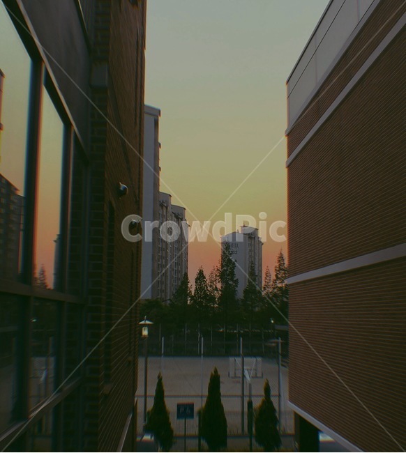 창문,창가,감성,분위기,노을,일몰,도시,풍경,city,landscape,한국도시풍경,한국도시경관,korea cityscape,home decor,가정 장식,office building,사무실 건물,building,건물