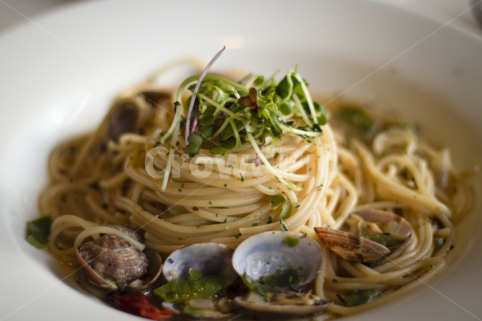파스타,food,음식,spaghetti,스파게티,봉골레,음식,식재료,요리,food,cook,meal,dishes,food reserves,양식,서양음식,서양요리,western food,western dishes,western meal,western cook