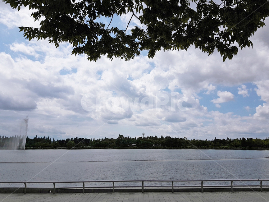 하늘,구름,풍경,공원,호수,landscape,선명,맑은날,파란하늘,호수공원,cloud,경치,nature,자연,park,힐링,나무