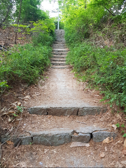 자갈,흙길,운동,계단,의릉,나무,아침,모닝