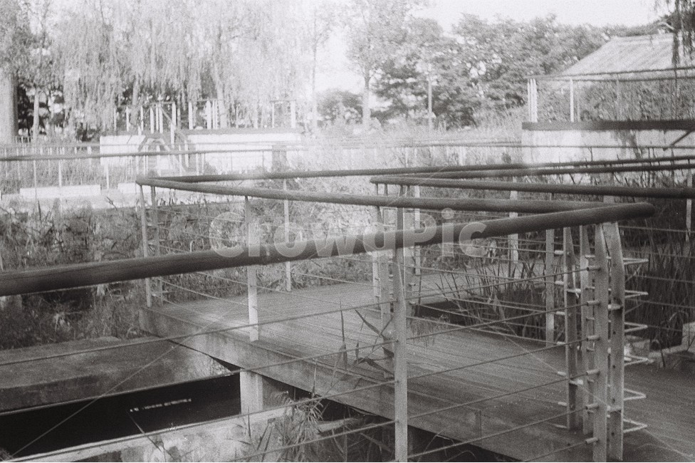 black and white photography,Grayscale,film camera,Emotional photo,Seonyudo