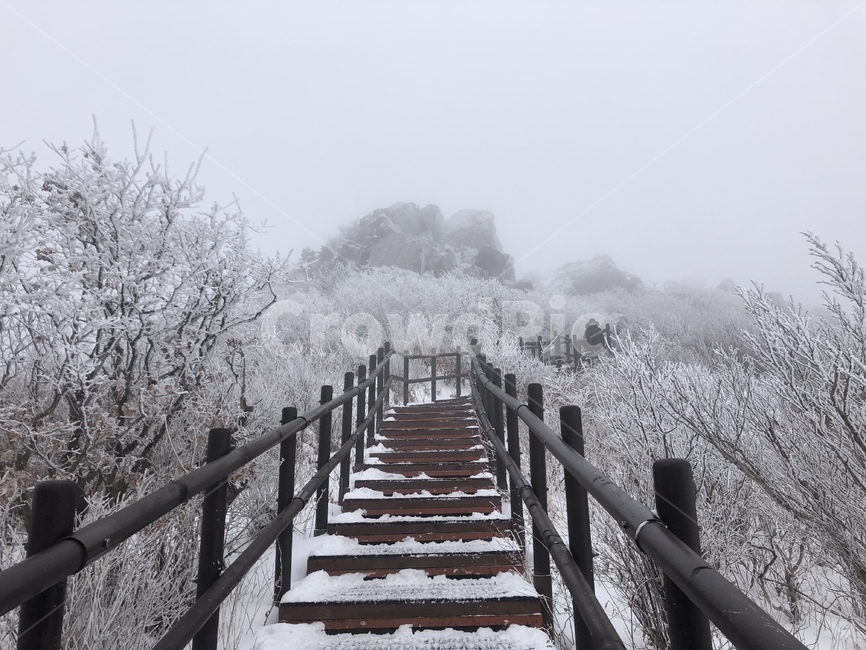 겨울산,겨울,눈꽃,눈꽃나무,wintermauntain,계단,stair