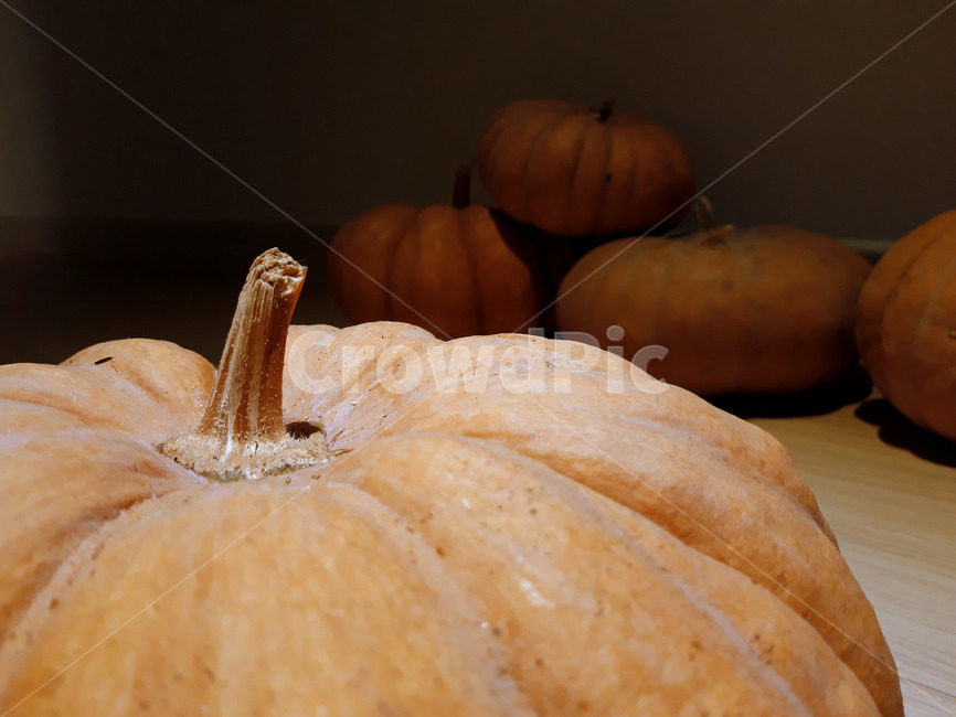 호박,늙은호박,수확,식재료,채소,음식,식품,야채,pumpkin,food,cook,meal,음식,식재료,요리,food,cook,meal,dishes,food reserves,채소,야채,vegetables