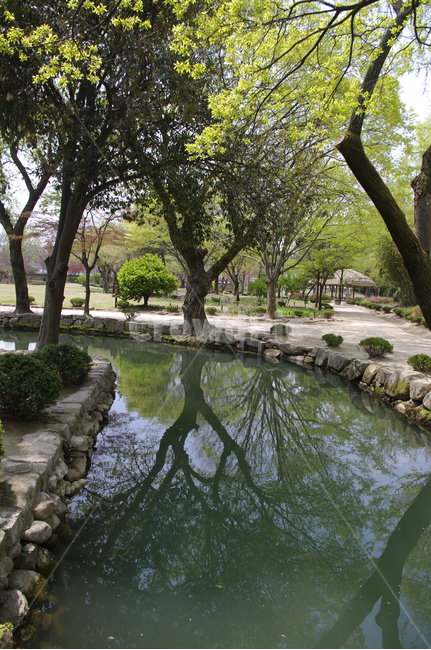 계절,연못,나무,식물,plant,봄,spring,초록,자연,풍경,nature,landscape,tree,water,물,outdoors,옥외