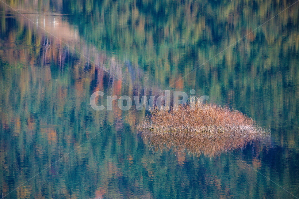 가을풍경,가을,반영,자연,nature,용담호,tree,plant,가을,계절,fall,autumn,season,자연,풍경,nature,landscape,한국자연풍경,한국자연경관,korea nature landscape