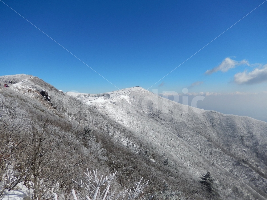 소백산,눈꽃풍경,상고대,겨울풍경,국립공원,겨울동화,힐링,감성,아름다움,뷰티풀,설국,눈풍경,파란하늘,100대명산,겨울명산,설경,서리꽃,영동,snow,landscape,눈,화이트,자연,신비로운,경이로운,천상,비경,치유,겨울,계절,winter,season,자연,풍경,nature,landscape,한국자연풍경,한국자연경관,korea nature landscape,outdoors,옥외,mountain,산,ice,얼음,slope,경사