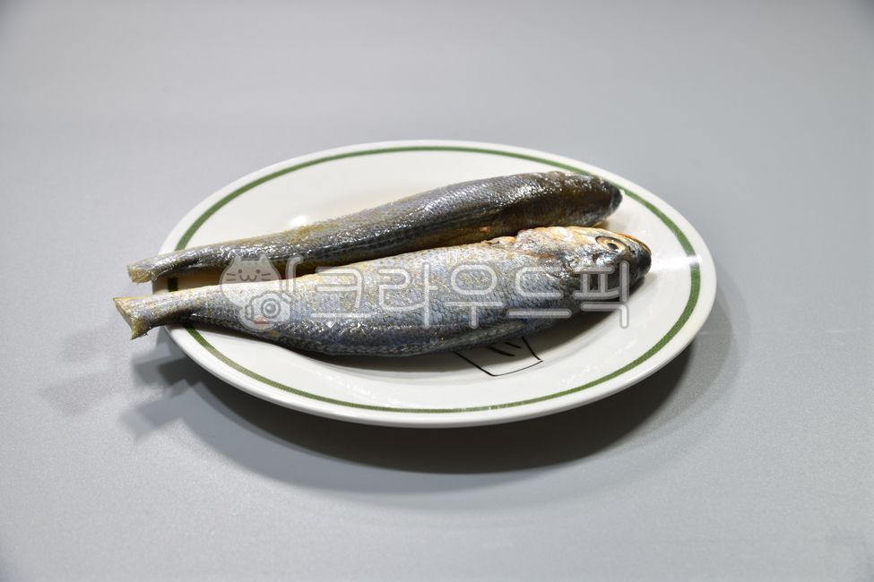 조기, 생조기, 참조기, 백조기, 생선, 사진,이미지,일러스트,캘리그라피 - 백봉작가