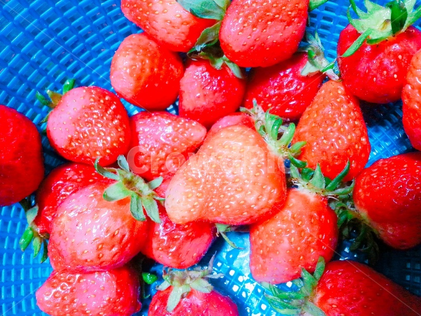 딸기,strawberry,붉은색,red,과일,fruit,빨강,음식,식재료,요리,food,열매,색깔,색상,색채,색감,colorsense,colorsensitivity,feelingofcolor
