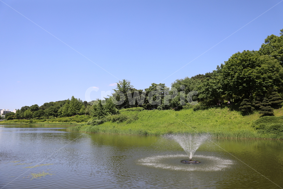 숲과분수,공원,분수,호수와숲,호수,올림픽공원,맑은날,시원한분수,자연,풍경,nature,landscape,water,물,outdoors,옥외