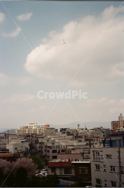 필름카메라,마을,건물,동네,마을전경,대구,구름,도시,풍경,city,landscape,urban,어반,town,building,시티,metropolis,중심지