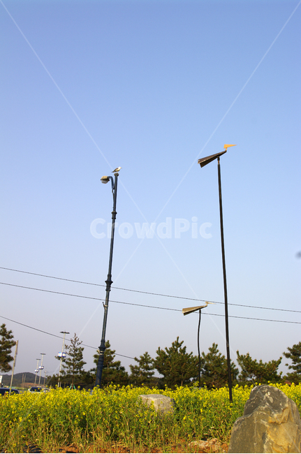 솟대,하늘,유채꽃,식물,꽃,자연,풍경,nature,landscape,flag,깃발,symbol,상징