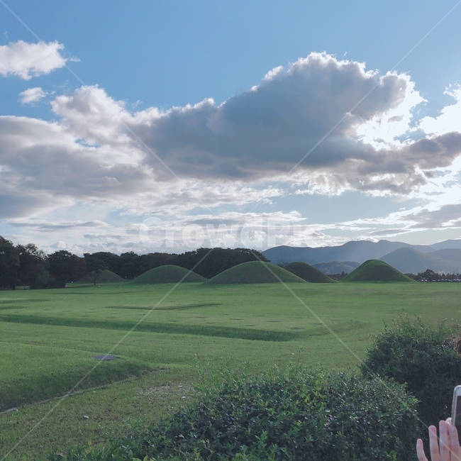 가을,첨성대주변,왕릉,푸르름,자연,들,자연,풍경,nature,landscape,outdoors,옥외,field,grassland,목초지