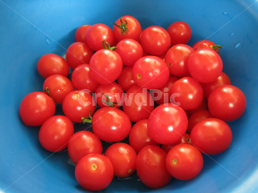 방울토마토,파랑,빨강,식후과일,제철과일,음식,식재료,요리,food,cook,meal,dishes,food reserves,채소,야채,vegetables