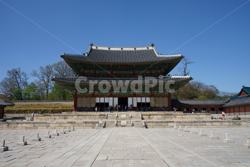 궁궐,가을,서울,전통,koreatraditional,landmark,autumn,seoullandmark,korea,asia