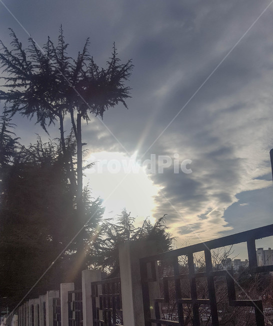 나무,태양,하늘,외벽,가을,자연,풍경,nature,landscape,light,빛,flare,플레어
