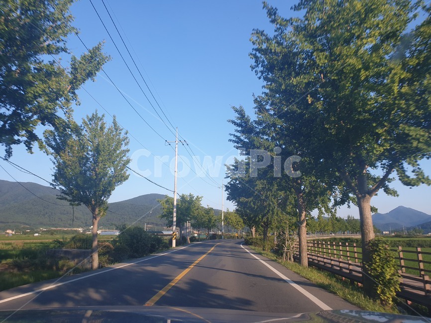 도로,나무,풍경,드라이브,차,하늘,산,섬,경남,남해,거제도,거제