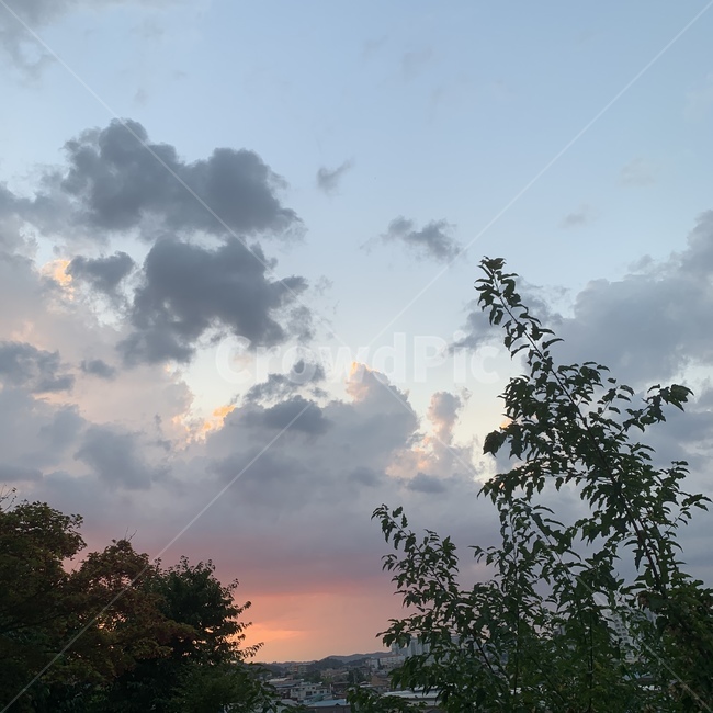 nature,옥외,outdoors,노을,자연,자연,풍경,nature,landscape