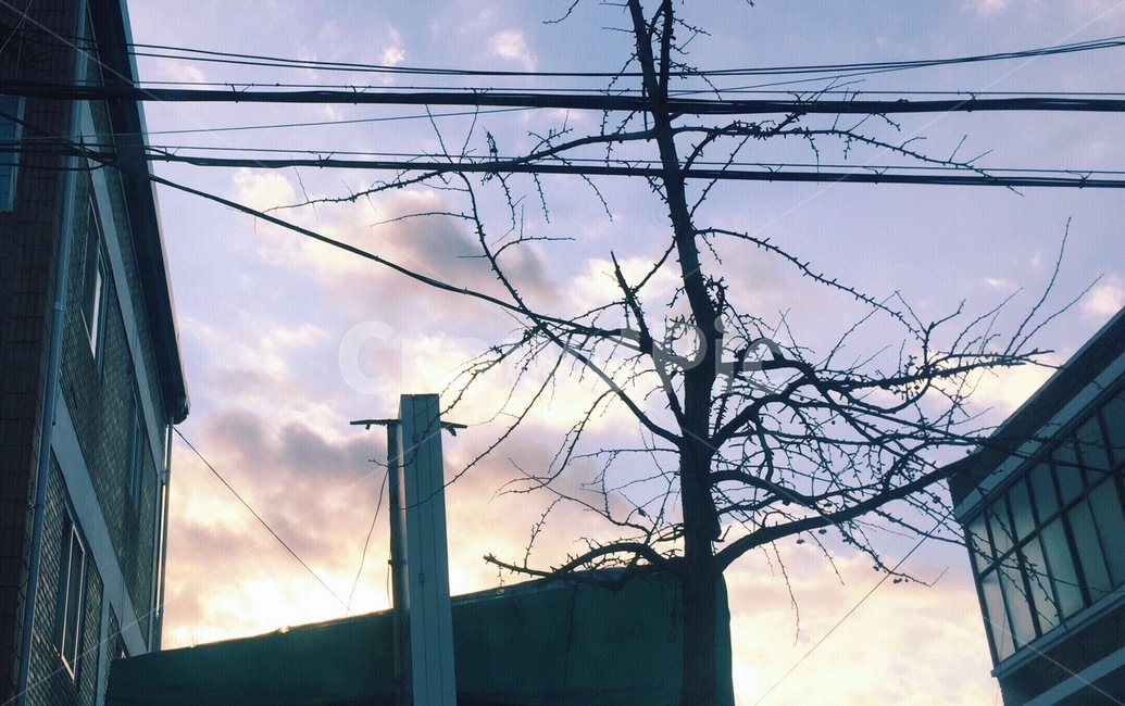 하늘,햇빛,구름,연보라,sky,cloud,sunshine,mauve