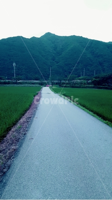 논,산,경치,오솔길,시골