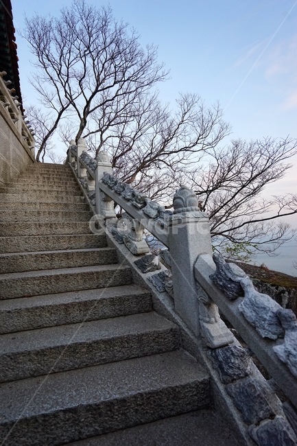 암자,향일암,겨울,기와,계단,나무,바다,사찰,난간,staircase,handrail,banister