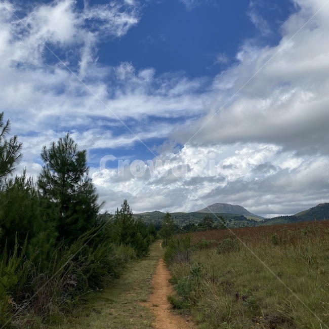 road,dirtroad,gravel,ground,도로,흙길,자갈,바닥,자연,cloud,sky,구름,하늘