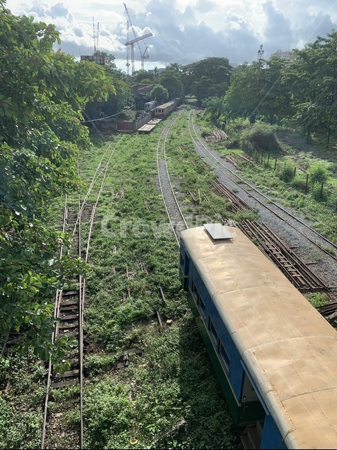 기차,rail,정글,jungle,몽환,fantasy,낡은,레일,traintrack,기찻길,철도,railway,교통,교통수단,traffic,transportation