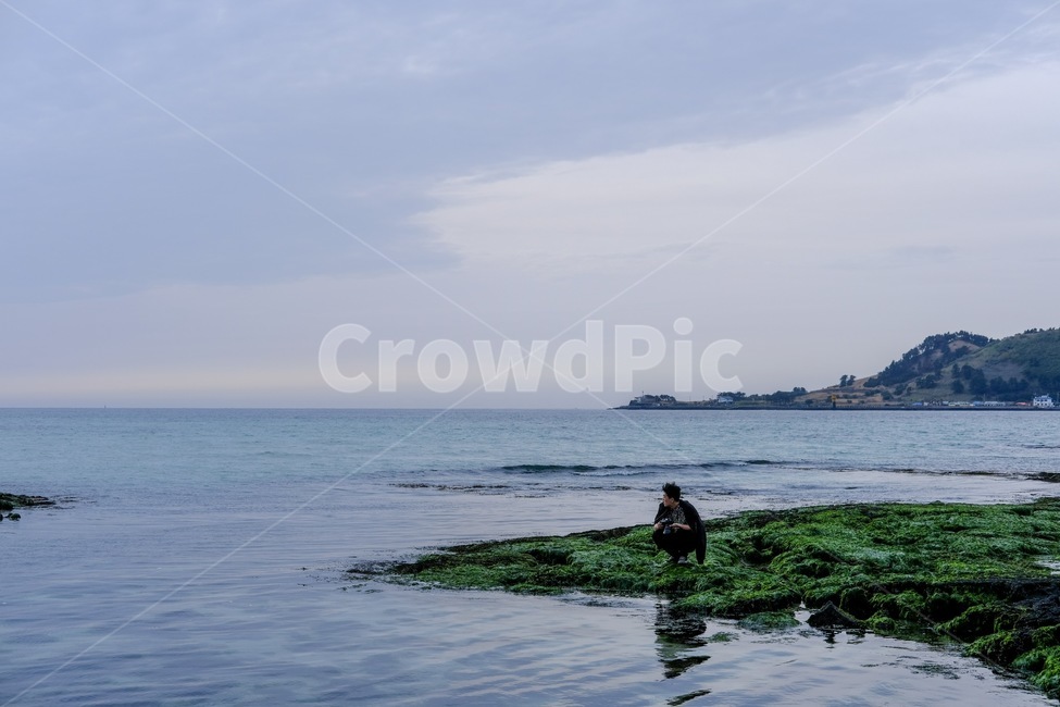 제주,청량,산뜻,풍경,한국,파랑,파랑색,초록색,녹색,person,사람,human,인간,water,물,outdoors,옥외,land,땅,nature,자연,sea,바다,ocean,대양,promontory,곶