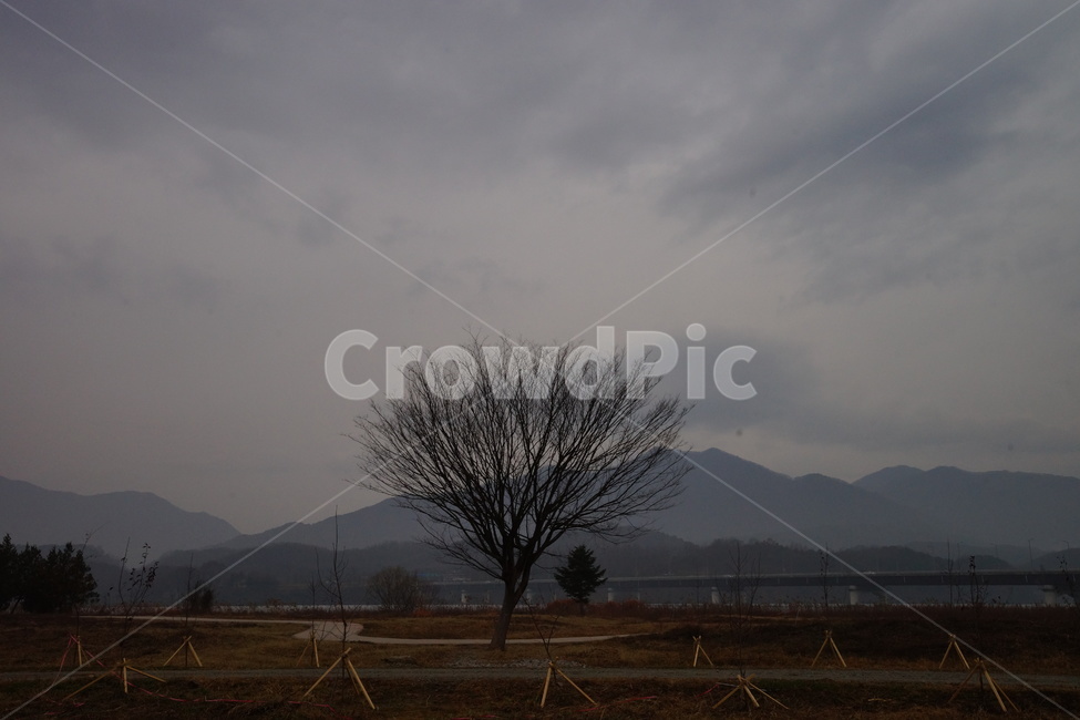 나무,가을,비,가을비,스산한,가을,계절,fall,autumn,season,자연,풍경,nature,landscape,한국자연풍경,한국자연경관,korea nature landscape,식물,plants,나무,trees,wood,outdoors,옥외