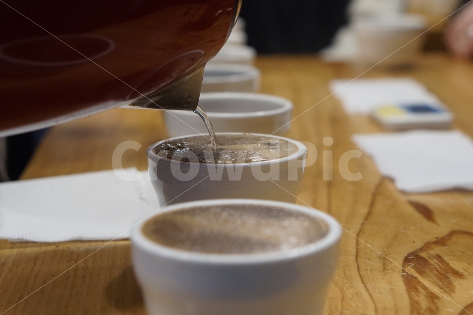 커핑,드립커피,커피,뜨거운물,커피향,커피연구,커피전문가,커핑훈련,커피,카페,coffee,cafe