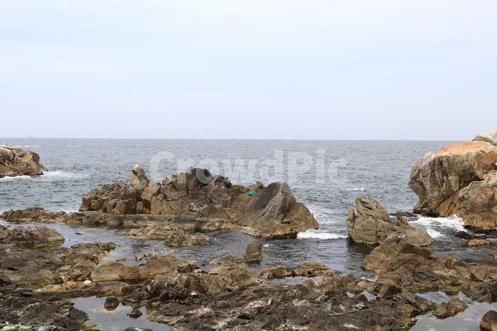 삼척,장호항,장호항구,장호해수욕장,장호어촌체험마을,관광지,장호역,삼척장호항,한국의나폴리,해상공원,바다,강원도여행,국내여행,강원도,한국,자연,자연,풍경,nature,landscape,leisure activities,레저 활동,adventure,모험