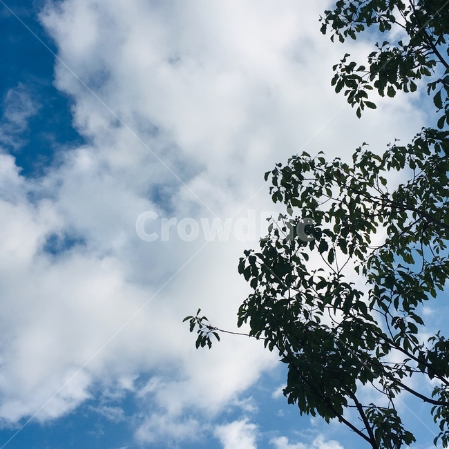 자연,nature,옥외,outdoors,하늘