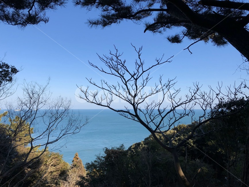 tree,나무,plant,식물,treetrunk,나무줄기,바다,자연,하늘,자연,풍경,nature,landscape,연출,컨셉,콘셉,direction,concept,tree trunk,나무 줄기
