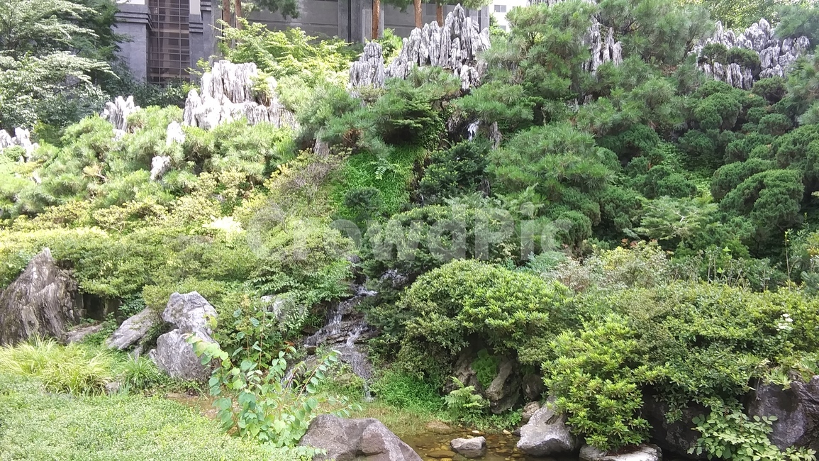 금강산,정원,공원,서초구,아파트,자연,전원,나무,녹지,녹색,풍경,경치