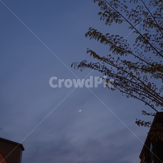 초승달,달,하늘,감성,시,밤하늘,산책,밤,분위기,야경,밤,풍경,nightscape,night,landscape,nature,자연,silhouette,실루엣