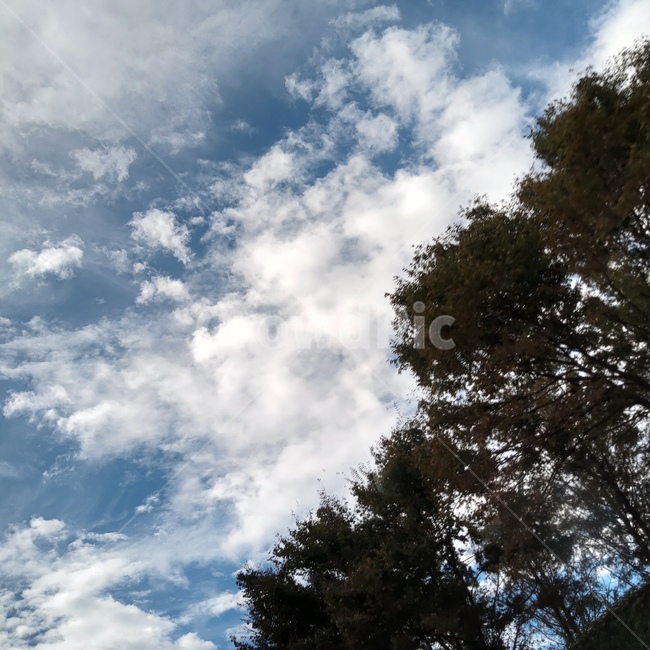 자연,outdoors,구름,nature,cloud