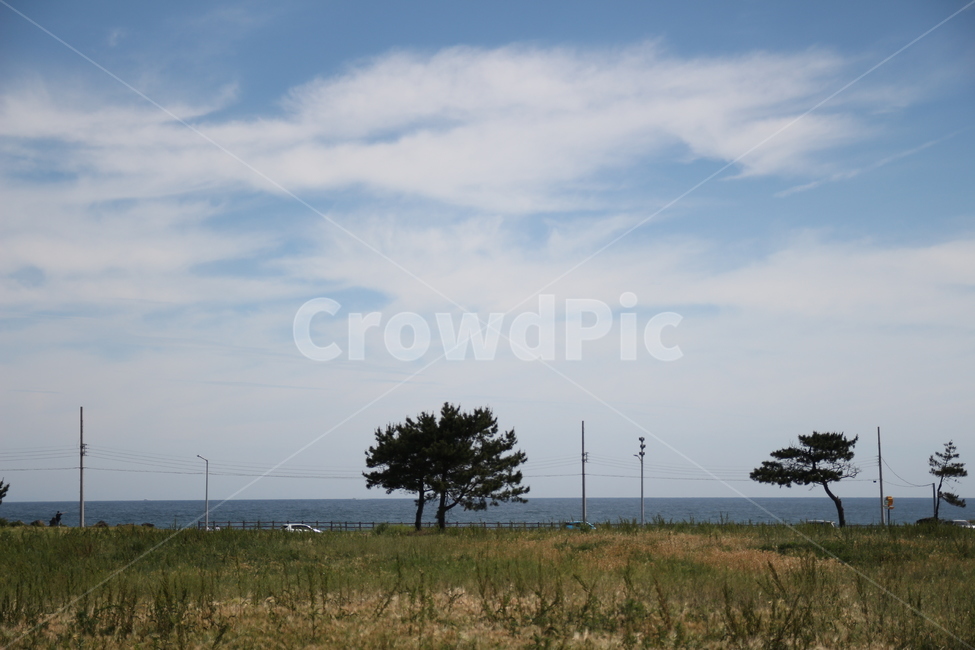 제주도,풍경,삼다도,하늘,바다