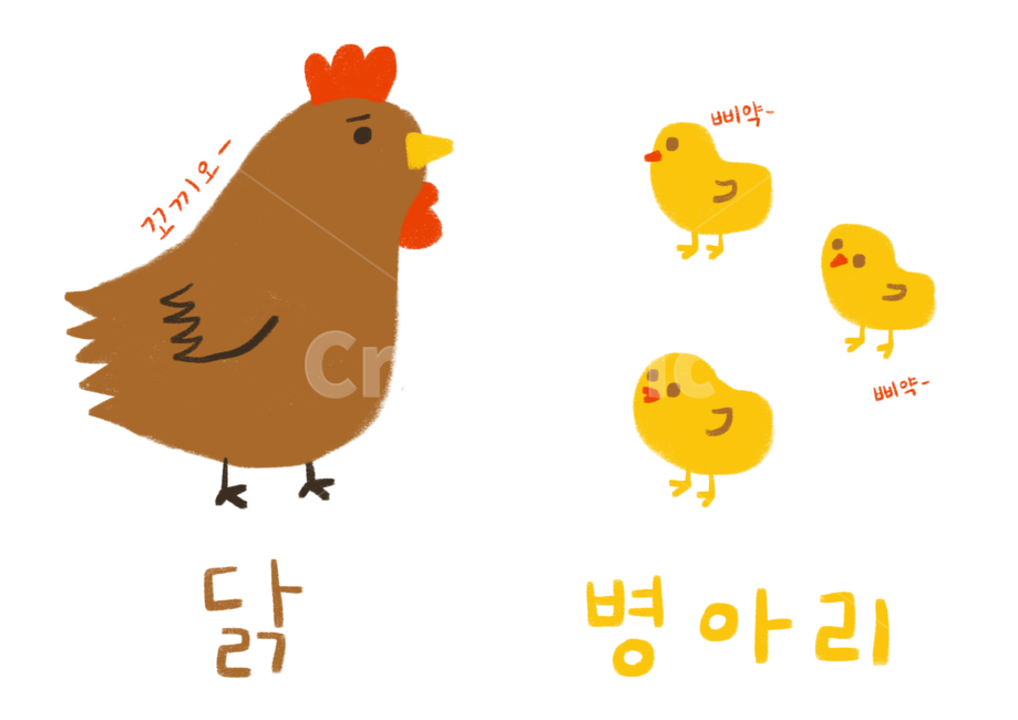 닭,병아리,일러스트,동화책,귀여운,그림,닭일러,병아리일러,손글씨,drawing,illustration,cute,failytale,calligraphy,켈리그라피,chicken,chick,그래픽,일러스트레이션,graphic,illustration