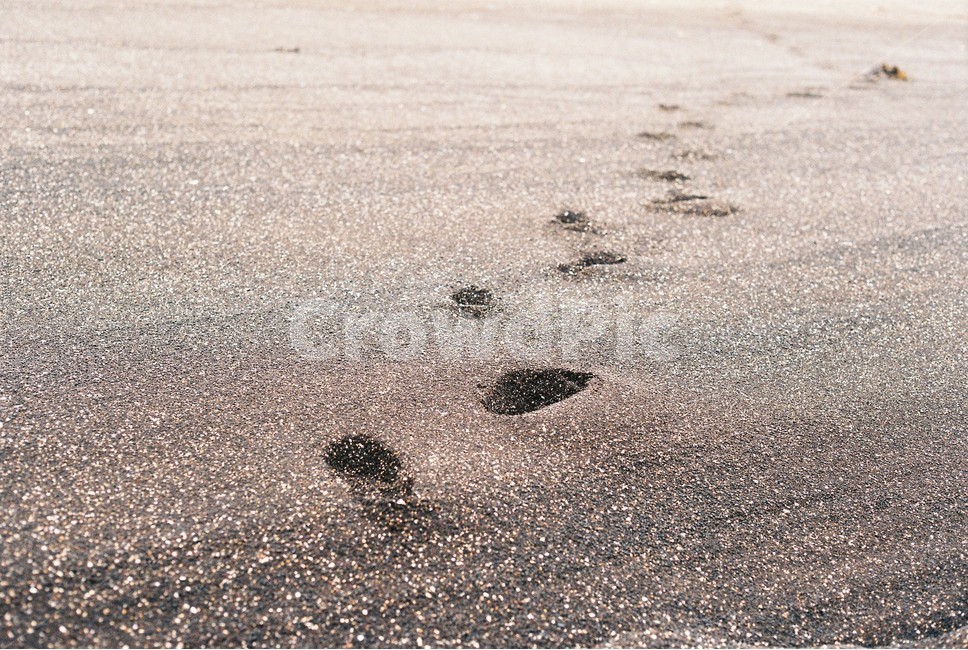 발자국,자취,해변,바다,발길,여름,계절,summer,season,자연,풍경,nature,landscape,해변,바다,beach,sea,감성,sensible,feeling