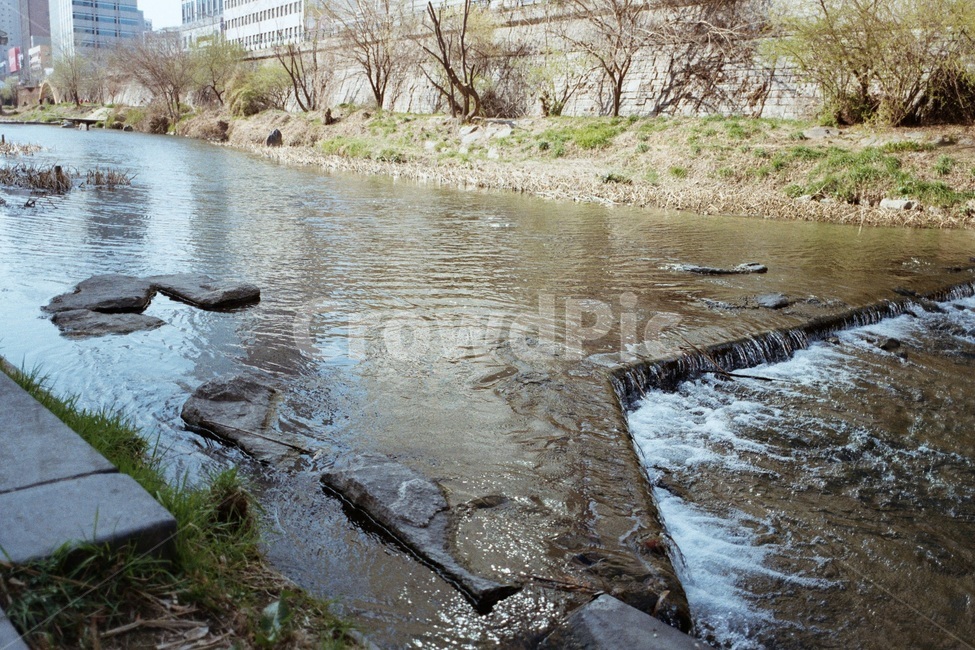 청계천,천,공원,봄,자연,자연,풍경,nature,landscape,water,물,outdoors,옥외