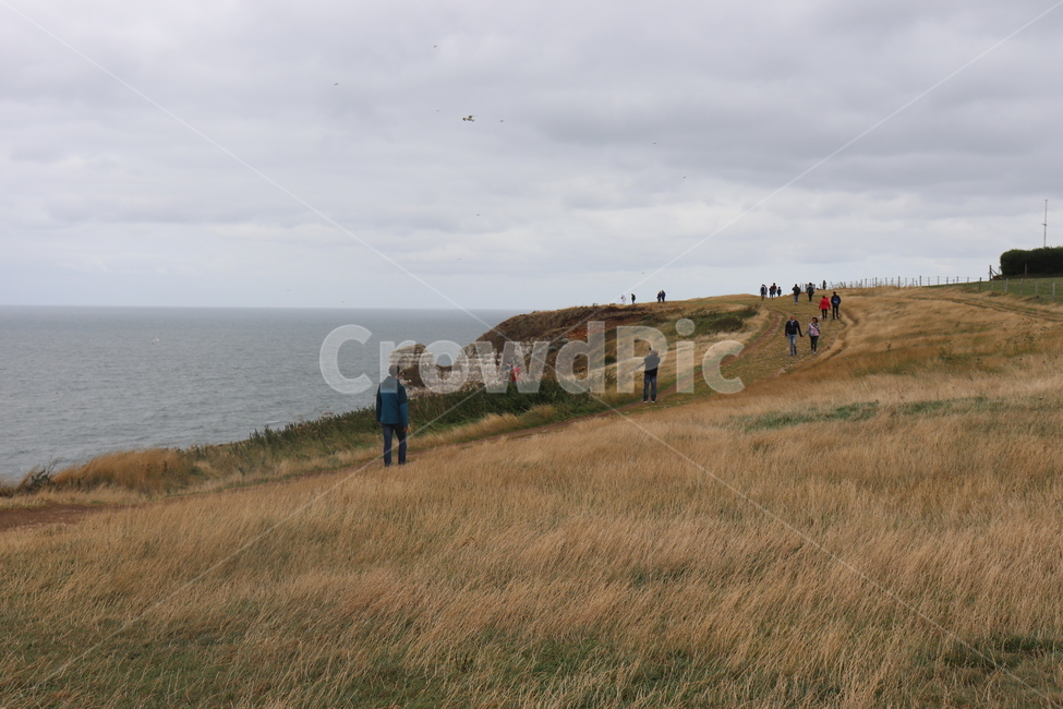 들,언덕,자연,field,grassland,자연,풍경,nature,landscape,사람들,대중,군중,other people,crowd