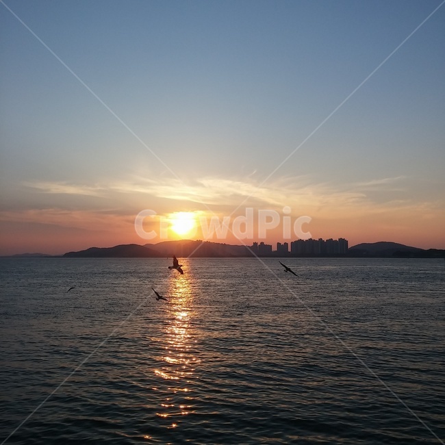 월미도,인천,석양,노을,저녁,태양,자연,풍경,nature,landscape,outdoors,옥외,sunlight,햇빛,dawn,새벽,red sky,붉은 하늘,sunset,일몰,sky,하늘,dusk,황혼,light,빛,flare,플레어