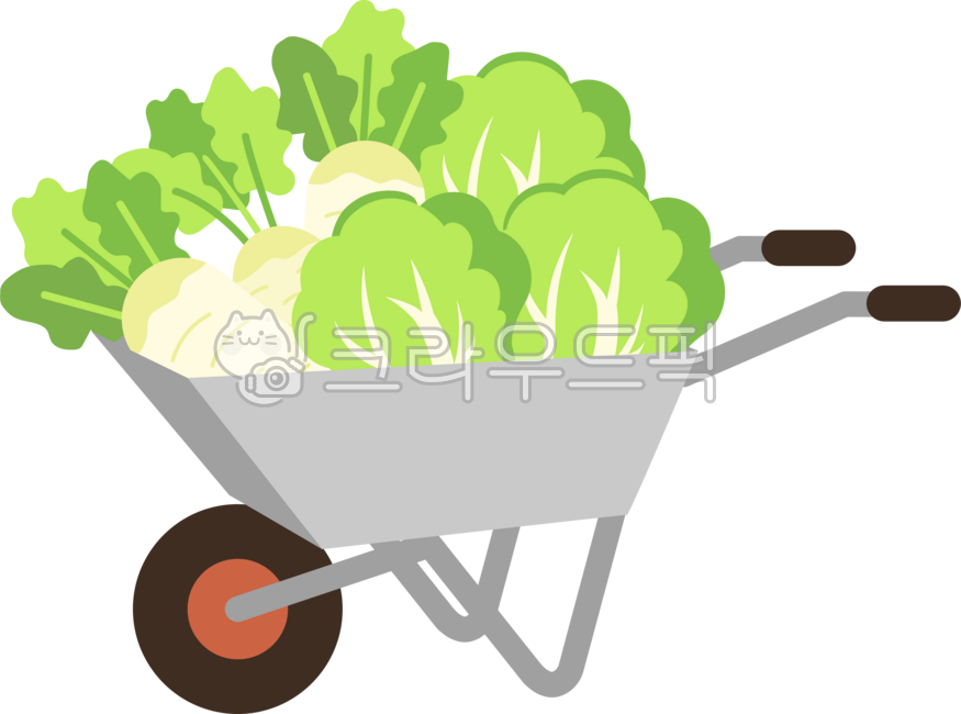손수레,수레,일륜차,리어카,구르마,구루마,핸드카트,무,배추,수확,농작물,추수,농산물,텃밭,식재료,재배,채소,농업,농가,수확물,농업의날,농업인의날,김장,김치