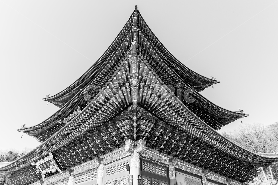 처마,대칭,단청,선,문화유산,한국전통,한국문화,korean traditional,korean culture,종교,신앙,religion,belief,faith,흑백,모노톤,monochrome,black and white,건축물,건물외관,exterior,building,structure,architecture,construction