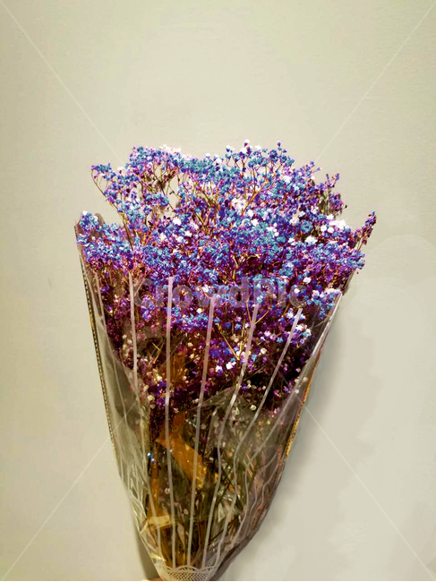 꽃,꽃다발,flower,파란꽃,선물,배경,빈티지,vintage,blue,purple,present,gift,love,사랑,우정,기념,기념일