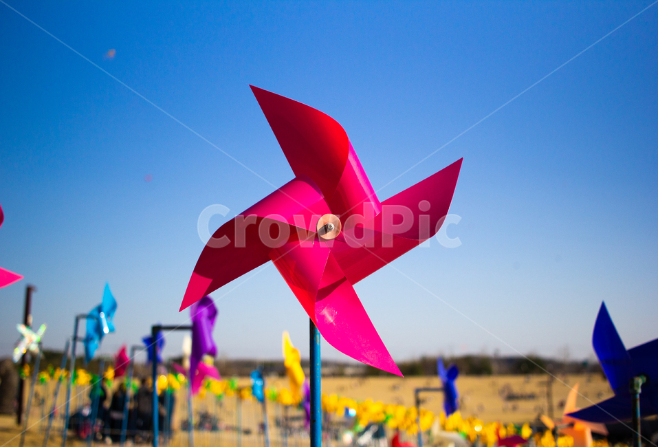 바람개비,공원,하늘,색상,놀이,야외,outdoor,pinwheel,푸른하늘,vane,windmill,팔랑개비,rotation,회전,clean,propeller,pleasure,peace,colorimage,outdoors,closeup,natural,object,field,colorful,skyblue,garden,pinwheels,photography,beauty,beautiful,season,happy,origami,air,joy,fan,windmills,energy,park,weathercock,power,weather,design,production,rotate,play,fun,holiday,environment,nature,toy,color,wind,background,blue,sky,red