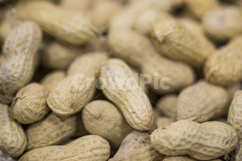 땅콩,견과,견과류,식품,껍질,부럼,콩,뿌리,농사,수확,안주,식재료,음식,식재료,요리,food,cook,meal,dishes,food reserves,콩류,견과류,beans,pulse,nuts,dry fruits