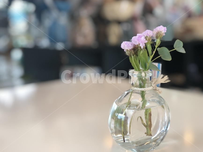 꽃,플라워카페,꽃병,생화,플라워,카페