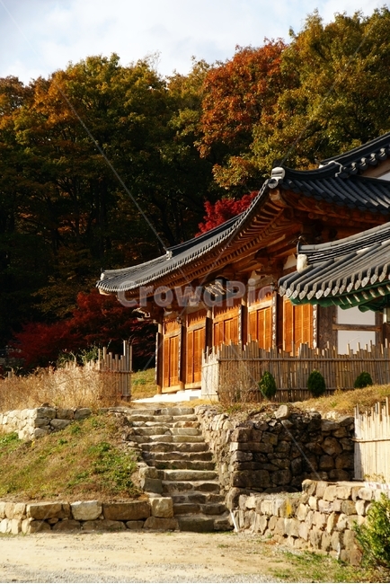내장산,단풍,가을,붉은,빨간,red,maple,autumn,fall,나들이,단풍구경,산,mountain,낙엽,한국,전통,한국전통,건축물,traditional,아시아,asia,기와,처마,단청,절,temple,가을,계절,fall,autumn,season,한국전통,한국문화,korean traditional,korean culture,종교,신앙,religion,belief,faith,건축물,건물외관,exterior,building,structure,architecture,construction,건물,신전,pagoda,탑,worship,예배,shrine,신사