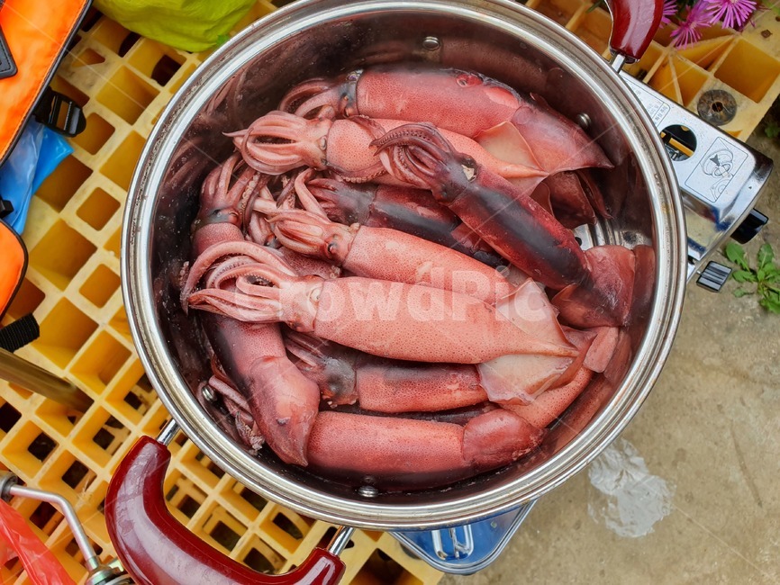 캠핑,오징어,오징어순대,총알오징어,캠핑요리,야외,야외요리,오징어요리,휴가,휴가중